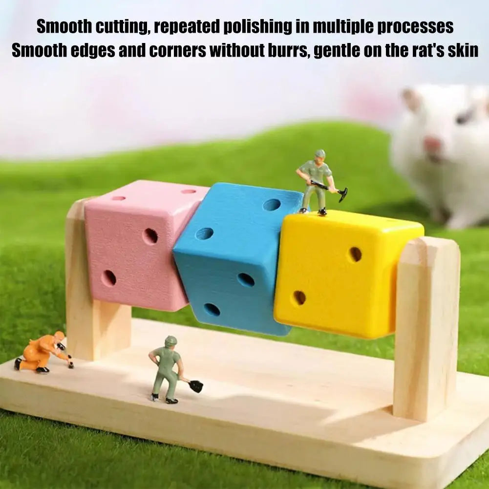Hamster Fitness Cube Colorful Multi Faceted Activity Stress Relieving And Anti Depressant Toys For Hamster Sports Oasis Select