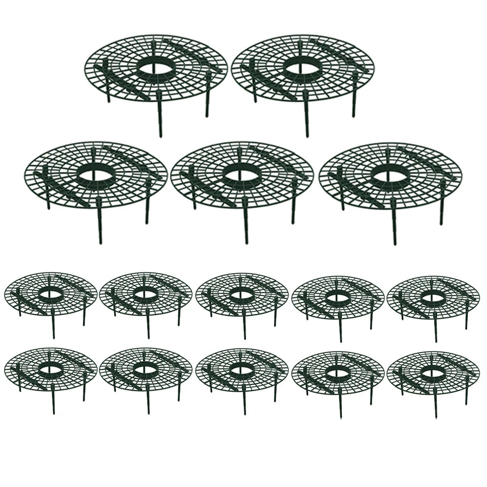 Strawberry Supports Keep Berries Clean Keeping Plant Fruit Stand Vegetable Growing Rack for Protecting Strawberries Oasis Select