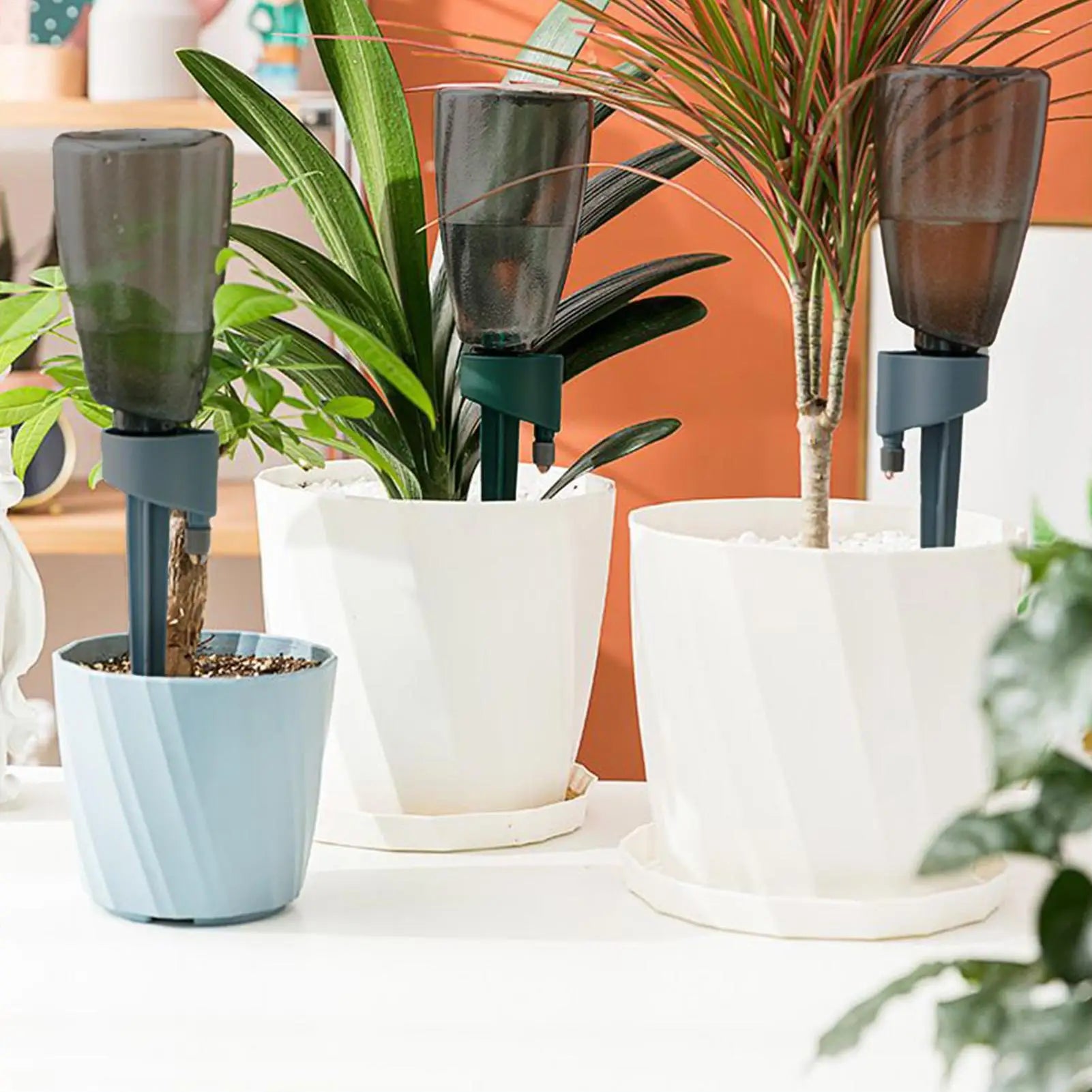 6pcs Automatic Waterer Household Flower Plant Self Watering Device Automatic Drip Irrigation System for Indoor Outdoor Gardening Oasis Select