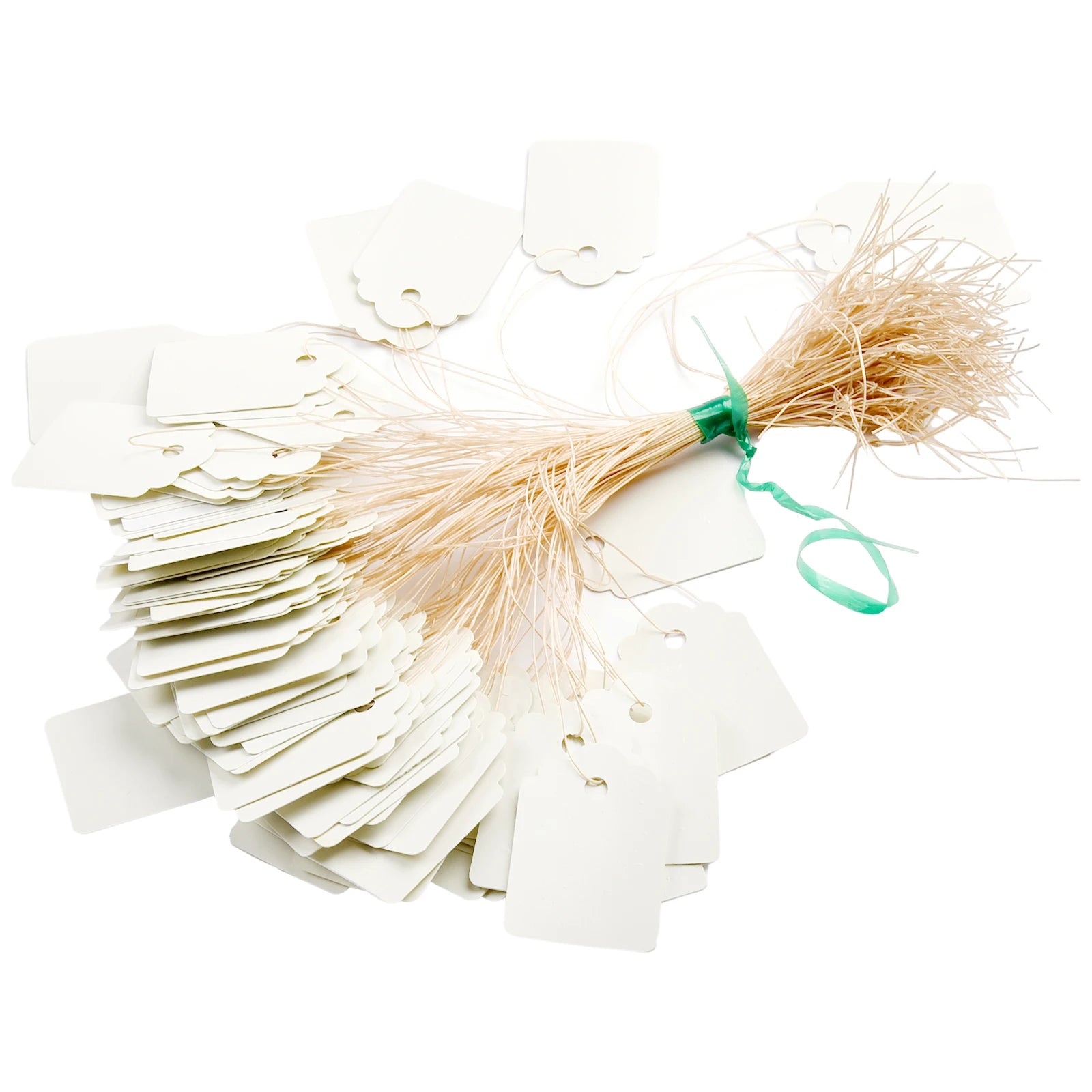 100pcs Waterproof Plastic Plant Hanging Tags | Garden Labels Garden Plant Labels Oasis Select White