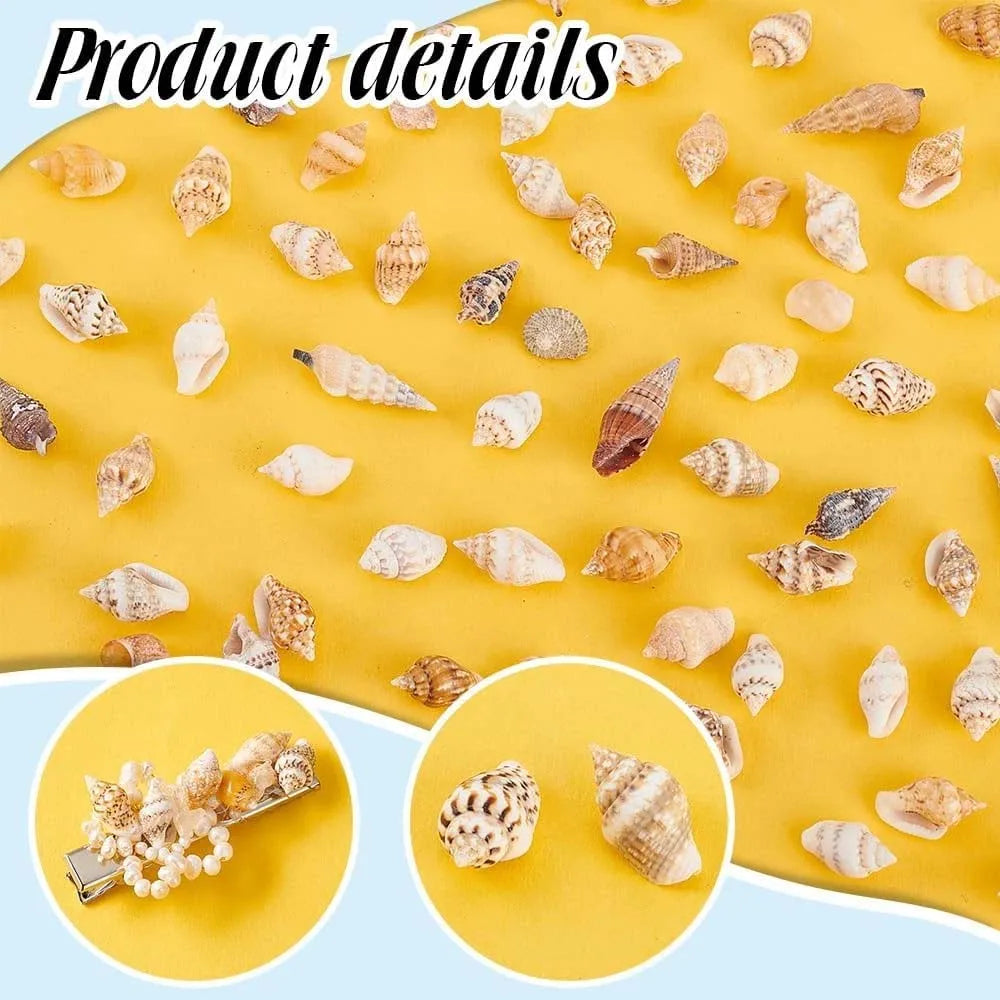 1Box Tiny Sea Shells Miniature Shell NO Hole for Candle making Jewelry Making Crafts FishTank Aquarium Ornament Craftwork Oasis Select
