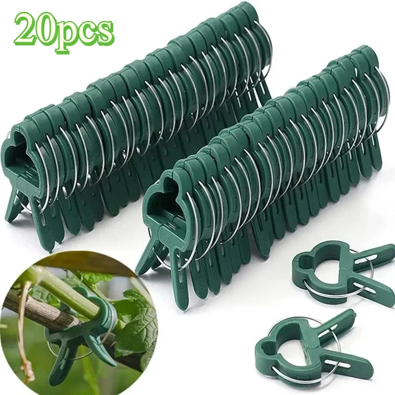 10/20PCS Adjustable Plant Fixed Clips Reusable Greenhouse Bracket Fixing Stems Flower Vine Tomatoes Fastener Garden Tool Oasis Select 20pcs