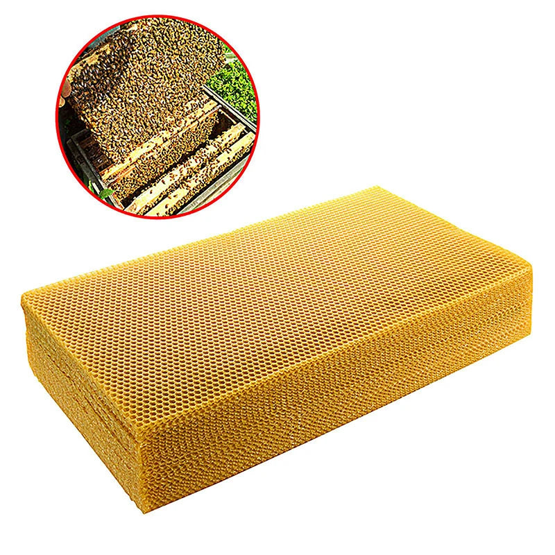 10Pcs Excellent DIY Accessories Yellow Honeycomb Foundation Bee Hive Wax Frames Beekeeping Equipment Sheet Oasis Select