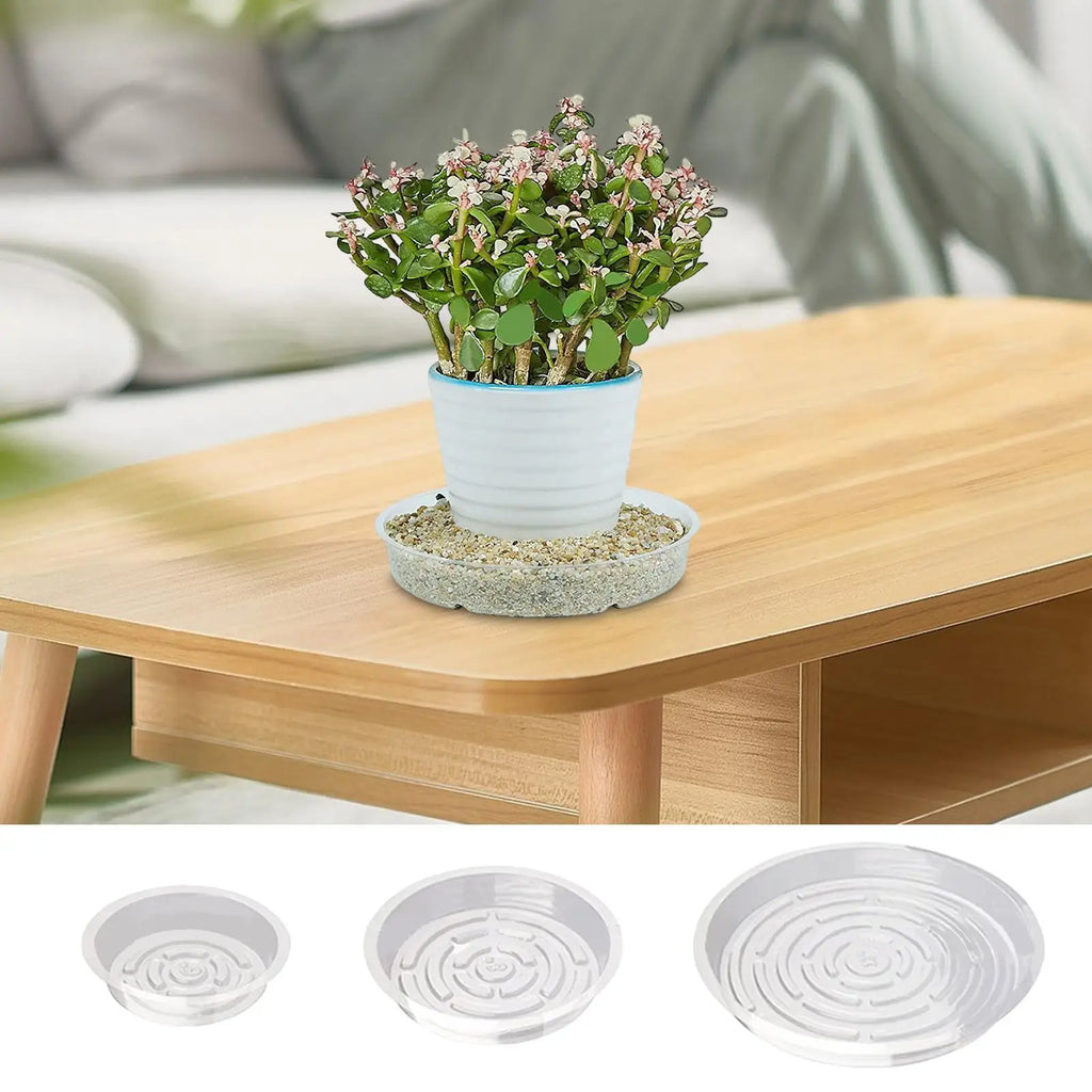 5Pcs Plant Pot Tray Clear round Flower Pot Trays Clear Plastic Plant Saucers Desktop Trash Storage Bases for Home Garden Oasis Select