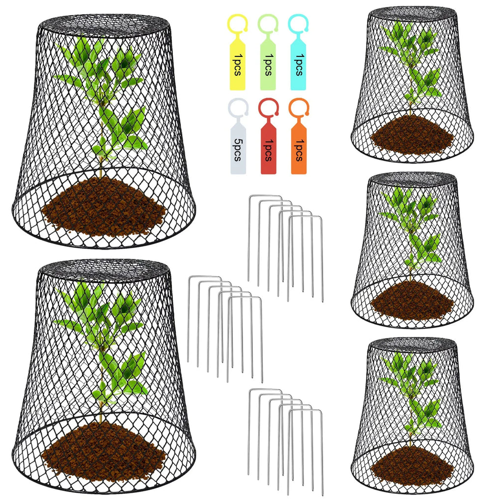 10-Pack Wire Plant Protection Cloches – Garden Pest Cages Garden Plant Cage Oasis Select B