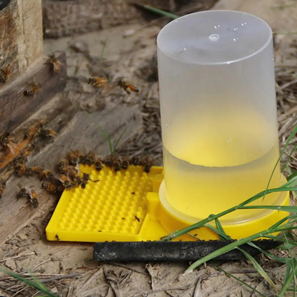 Plastic Bee Feeder – Honey Bee Watering & Feeding Tool