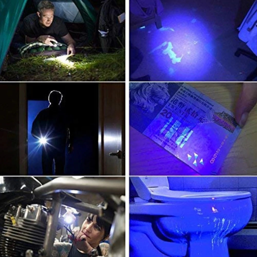 POCKETMAN 395nm UV Blacklight Pen Flashlight – Pet Stain Detector