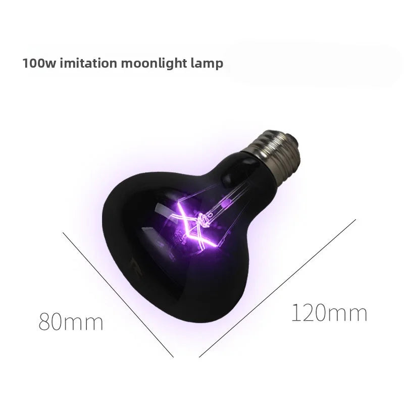 Reptile Moonlight Night Lamp | Chameleon & Lizard Heat Bulb