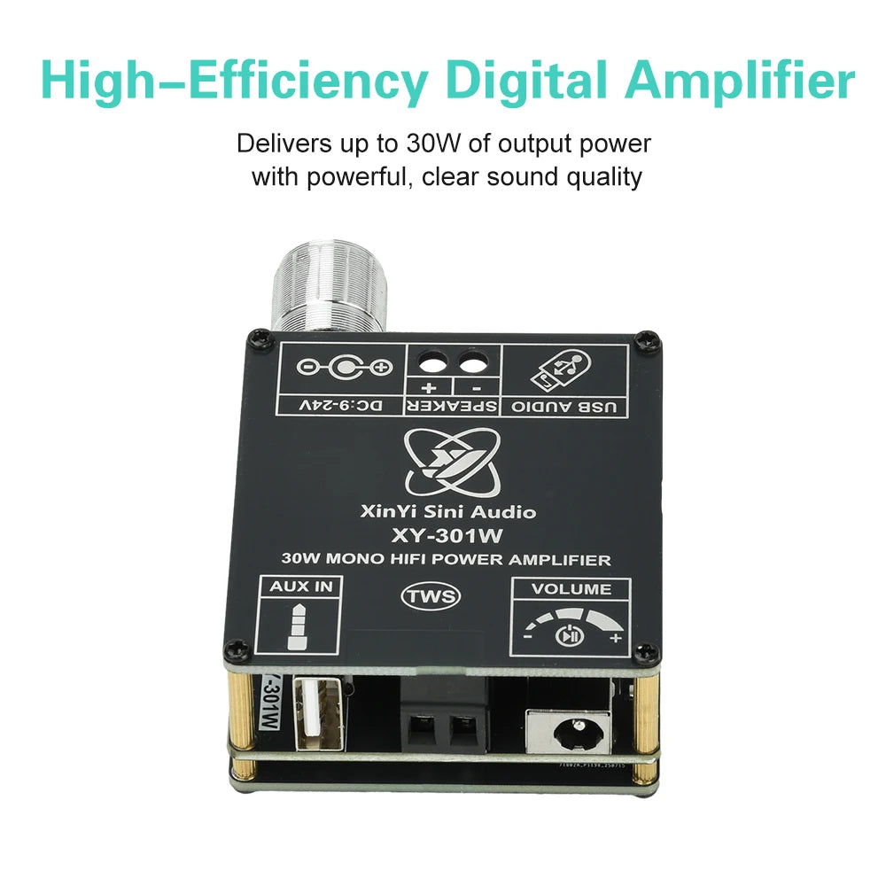 XY-301W Mono 30W Bluetooth Digital Audio Amplifier Board TWS True Wireless Box Connection Stereo DC 9-24V Oasis Select