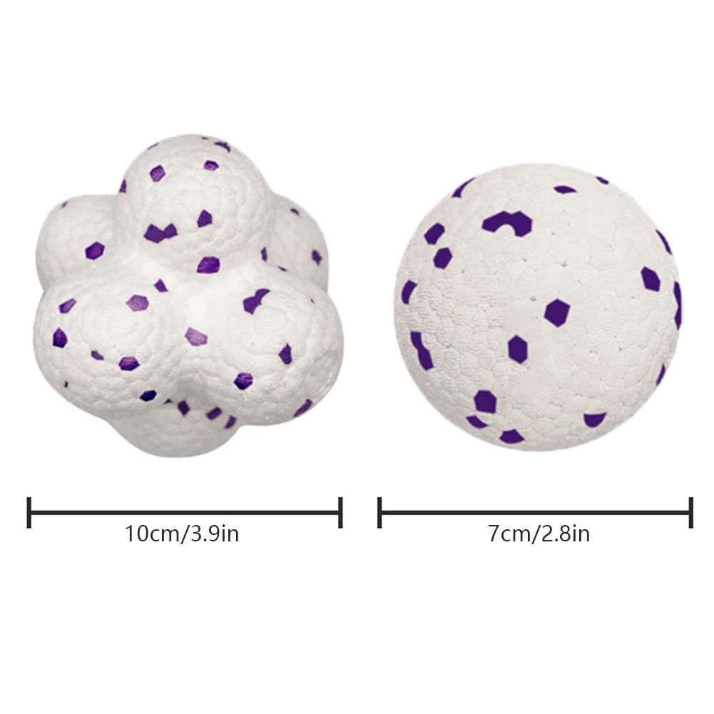 HOBBAGGO Squeaky Dog Ball – Interactive Chew & Teeth Clean Toy