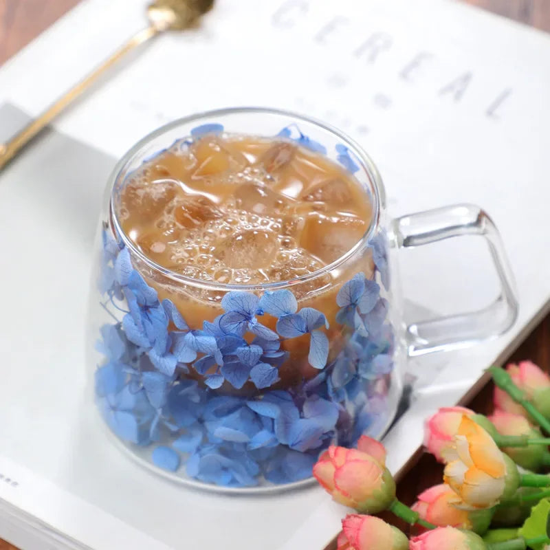 Double-Walled Glass Coffee Cup, Built-In Real Flower Design,Transparent Glass Coffee Cup for Hot & Cold Beverages, Tea, Latte Oasis Select