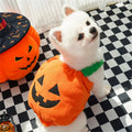 Halloween Pumpkin Costume for Cats & Small Dogs – Funny Pet Outfit Pet Halloween Costume Oasis Select A M