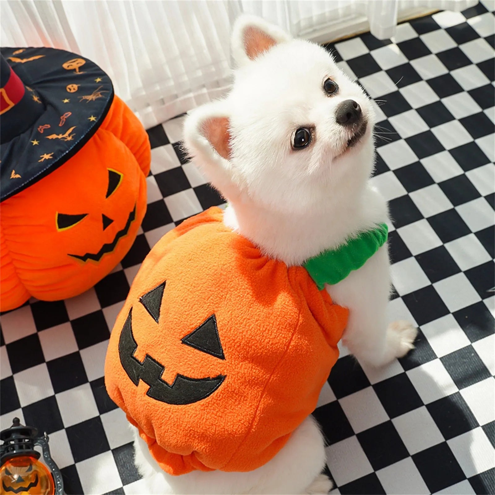Halloween Pumpkin Costume for Cats & Small Dogs – Funny Pet Outfit Pet Halloween Costume Oasis Select A M