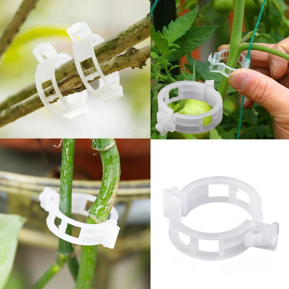 Plant Clips Supports Reusable Plastic Connects Fixing Vine Tomato Stem Grafting Vegetable Plants Orchard and Garden Tools 100PCS Oasis Select