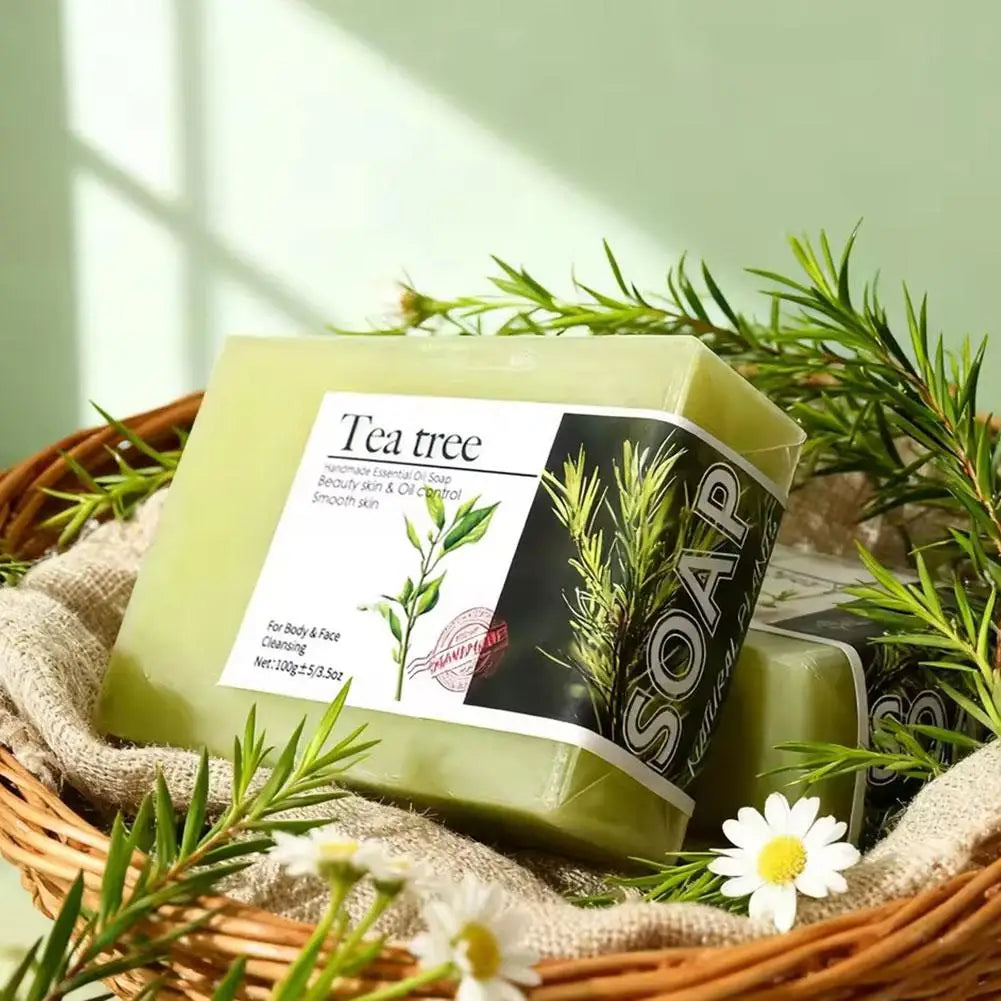 Tea Tree Oil Soap Bar – Handmade Natural Face & Body Wash Natural Soap Bar Oasis Select