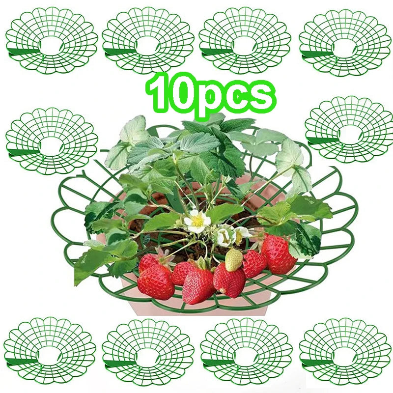 10pcs Green Strawberry Planting Racks, Watermelon Support Frames, 3-Legged Plant Protector, Easy Assembly Plant Accessories Oasis Select