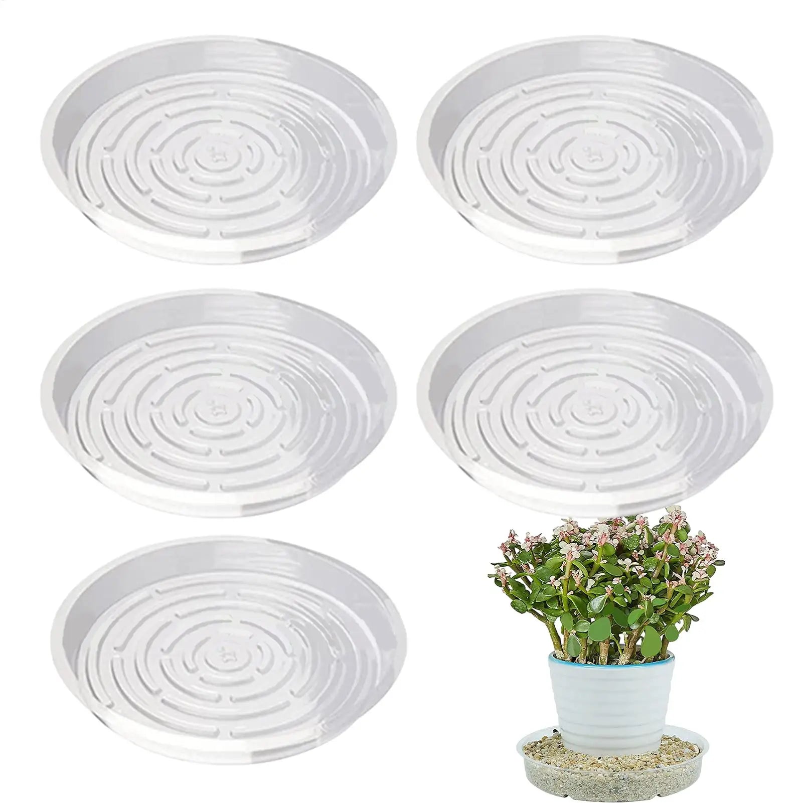 5Pcs Plant Pot Tray Clear round Flower Pot Trays Clear Plastic Plant Saucers Desktop Trash Storage Bases for Home Garden Oasis Select