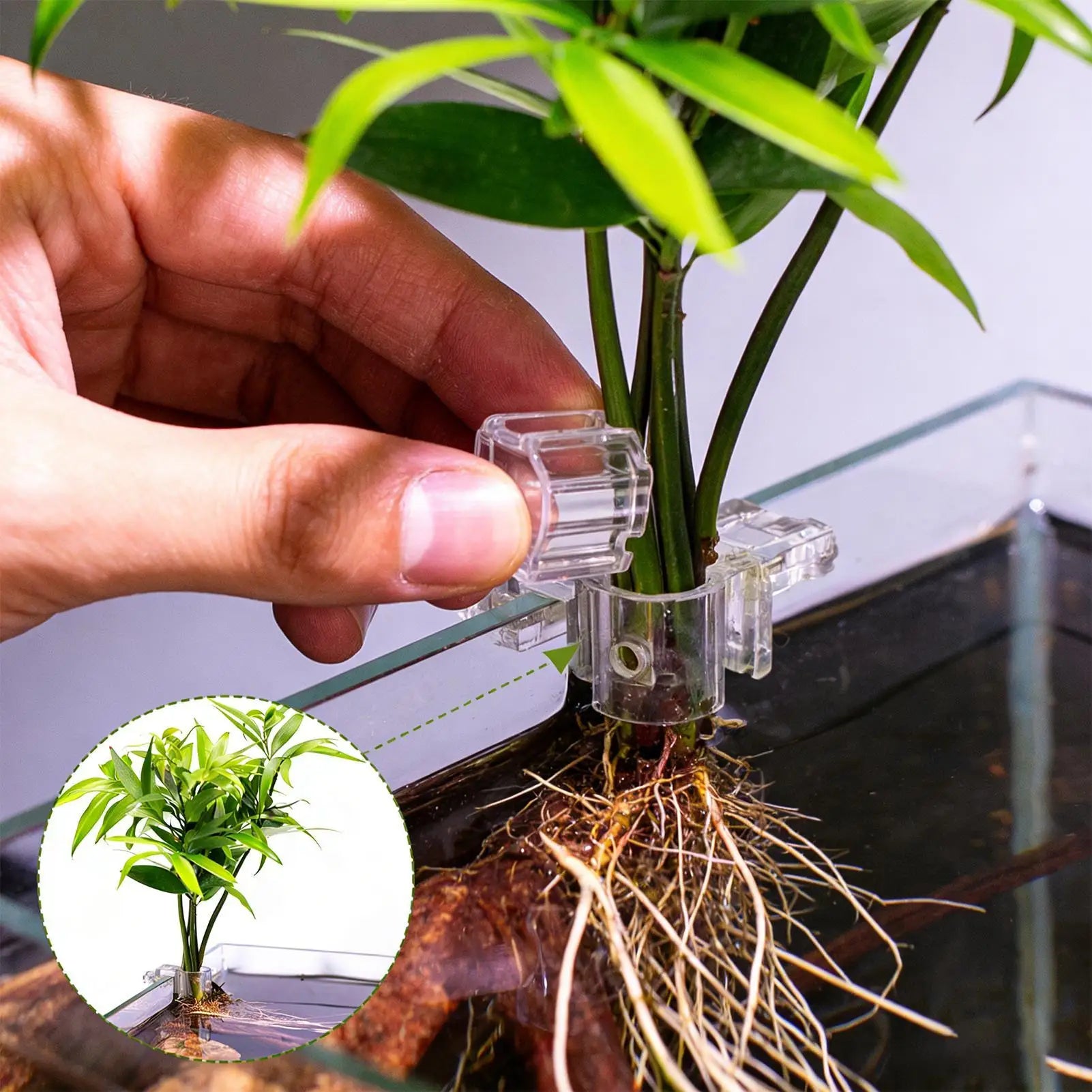 6 Pieces Clear Planting Cup Aquarium Plant Holder Hangable Aquatic Plant Holder For Fish Tank Home Grow Planting Cultivation Oasis Select