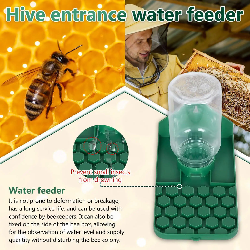 Leakproof Multi-Hole Water Feeder Bowl for Bees, Geckos & Reptiles