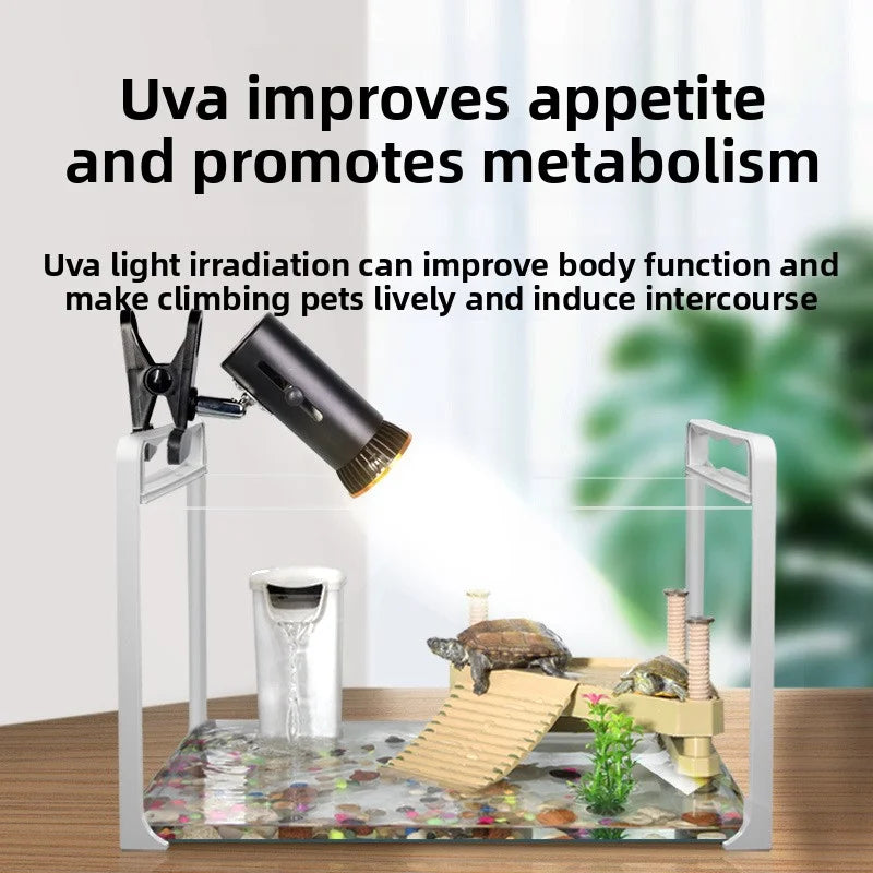 UVB UVA LED Reptile Basking Lamp for Turtles & Lizards | 3W