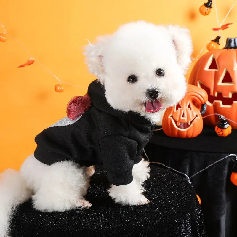 Pet Clothes Dog Cat Silver Skull Halloween Sweater Black Thickened Funny White Skull Embroidered Button Hooded Jacket Oasis Select