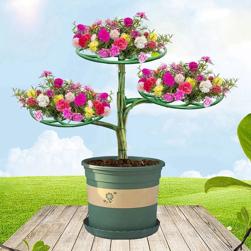 WISH Sunflower Flower Support Stand Three-Layer Plant Support Rack For Climbing And Grafting Oasis Select