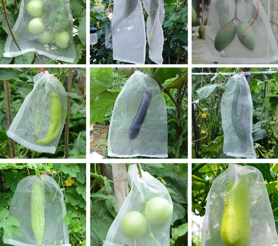 Garden Farm Nylon Net Bags: Ideal for Fruit Protection, Insect Exclusion, Bird Deterrence, Rice Seed Storage, Breeding Purposes Oasis Select