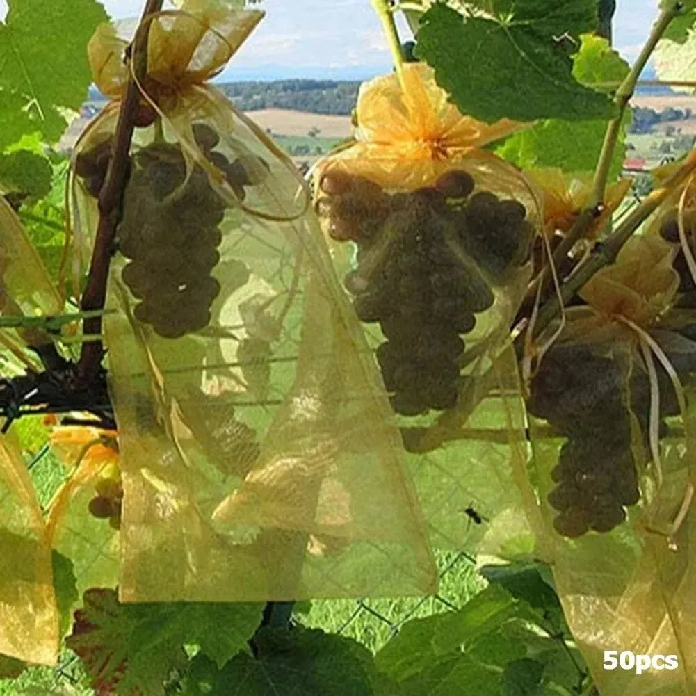 50pcs Fruit Protection Bags Anti-Bird Garden Netting Bags Strawberry Grapes Mesh Bag Plante Vegetable Netting Cover Garden Tool Oasis Select