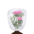 2-Pack Plant Insect & Bird Protection Net Bags | Drawstring Cover Garden Plant Netting Oasis Select 100-140cm