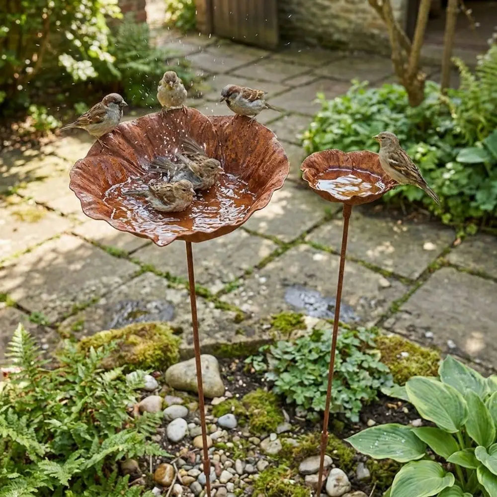 Flower Shape Metal Bird Bath Rusted Vintage Iron Art Bird Water Dispenser Handcrafted Ground Insert Flower Garden Stake Oasis Select