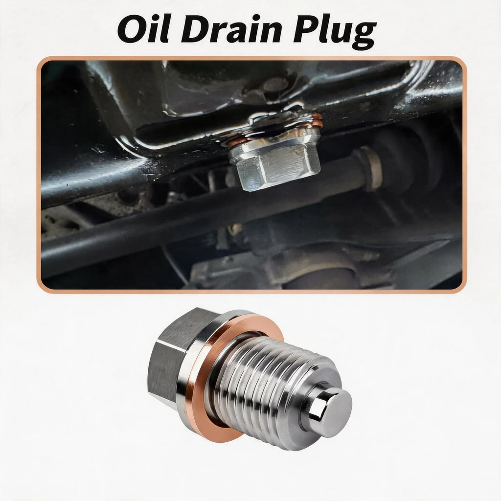 Premium Stainless Steel Magnetic Oil Drain Plug Screw Nut Oil Pan Nut M16*1.5/M12*1.75/M12*1.5/M12*1.25/M14*1.5 Auto Parts Oasis Select