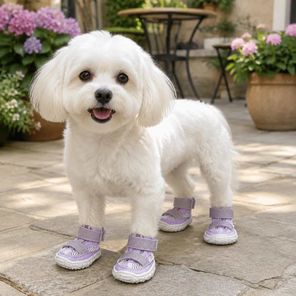 4PCS/SET Breathable Anti Slip Dog Shoes Adjustable Comfortable Pet Sandals Wear-resistant Dog Mesh Shoes Hot Pavement Oasis Select