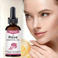 Rose Essential Oil Moisturizing Cream – Nourish & Hydrate