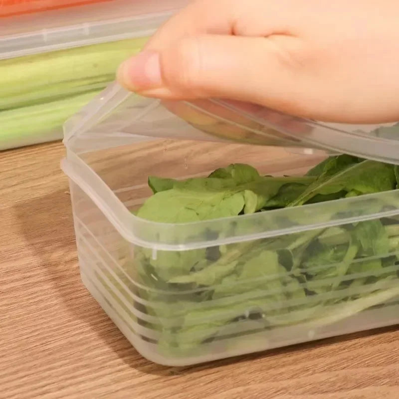 1/5PCS Fresh Box Refrigerator Storage Boxes Scallions Food Container, fresh-keeping Food Boxes,Transparent Sealed Storage Box Oasis Select