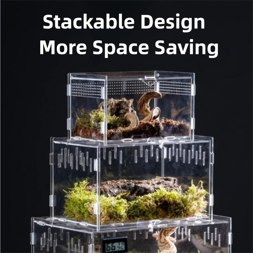 Durable Acrylic Reptile Habitat Clear Multiple Size Spider Feeding Case Arboreal Anti-Escape Lizard Breeding Box for Chameleon Oasis Select