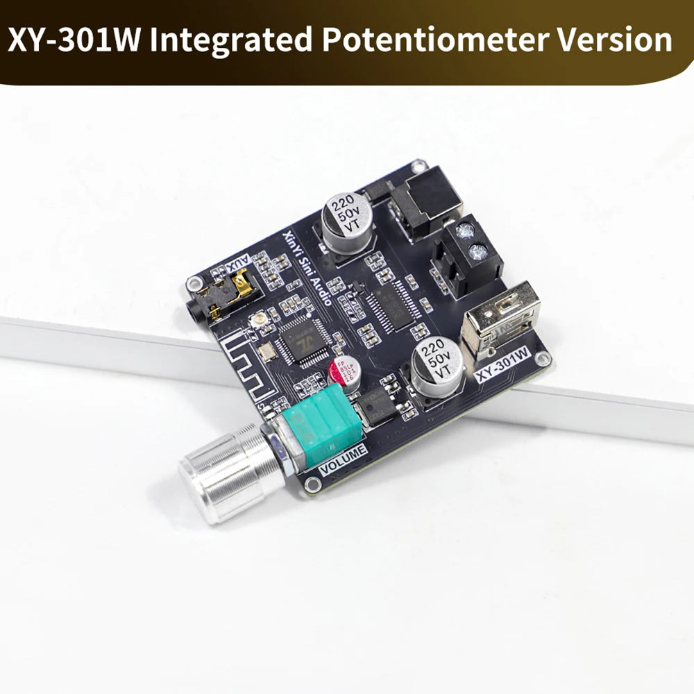 XY-301W Mono 30W Bluetooth Digital Audio Amplifier Board TWS True Wireless Box Connection Stereo DC 9-24V Oasis Select Type A