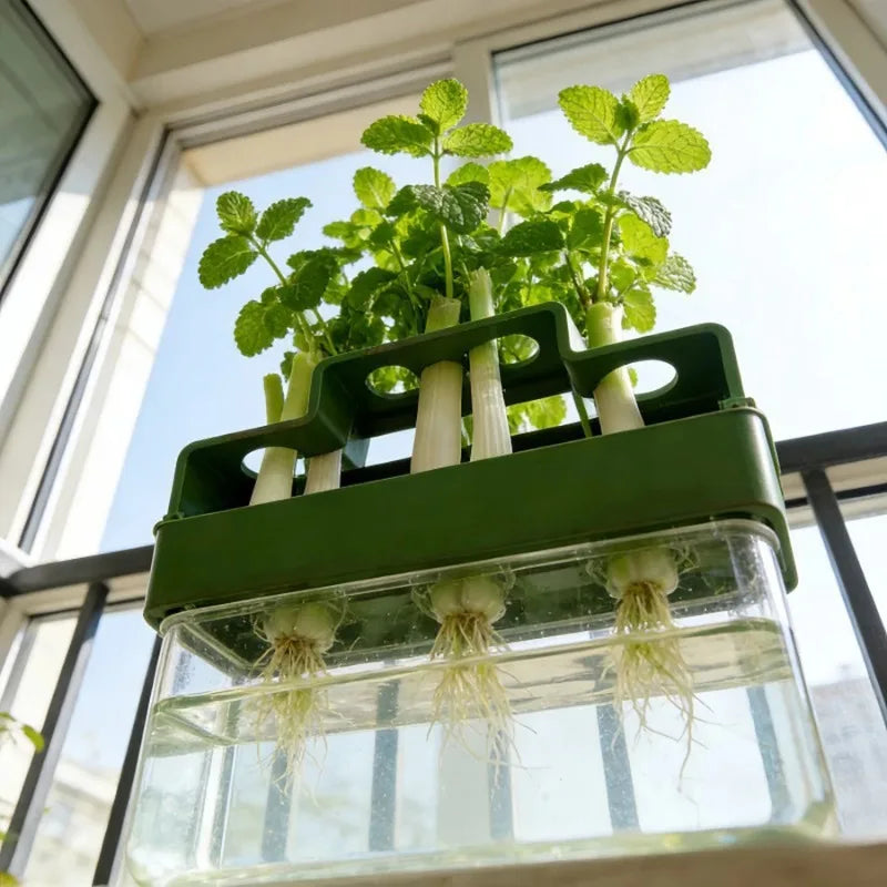Indoor Hydroponic Planting Box Dedicated Green Onion Growing Device Soilless Cultivation Pot for Home Vegetable Planting Oasis Select
