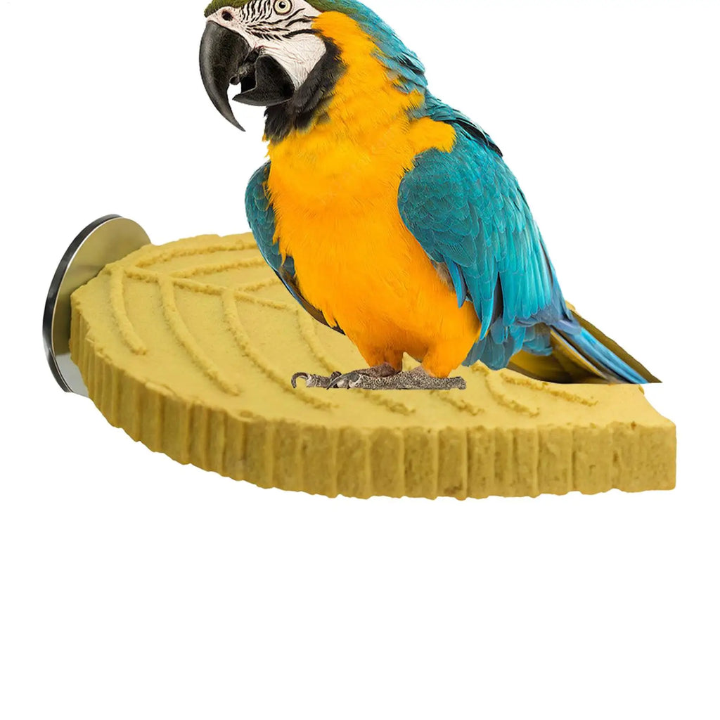 Cockatiel Perch Parrot Stand Toys Resin Bird Hamster Perch Platforms Stands Playground Bird Supplies Bird Cage Accessories Perch Oasis Select