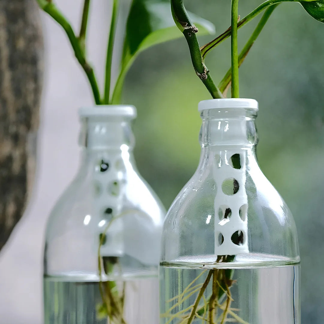 2pcs Hydroponic Plant Fixing Column 3D Printed Hollow Hole Water Plants Support Plants Root Fixer Bottle Vases Hydroponics Decor Oasis Select