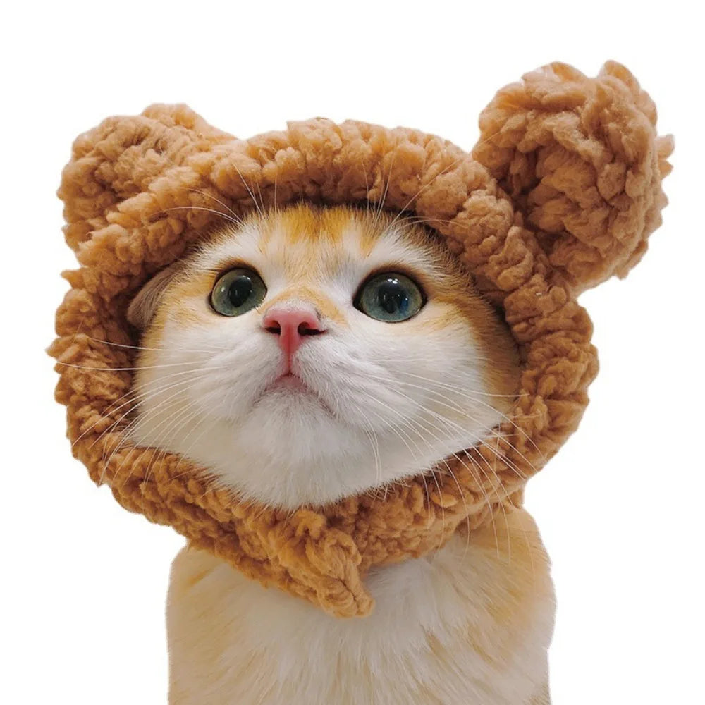 Internet Celebrity Pet Cat Lion Head Rabbit Ears Frog Bear Pet Hat Funny Headwear Oasis Select