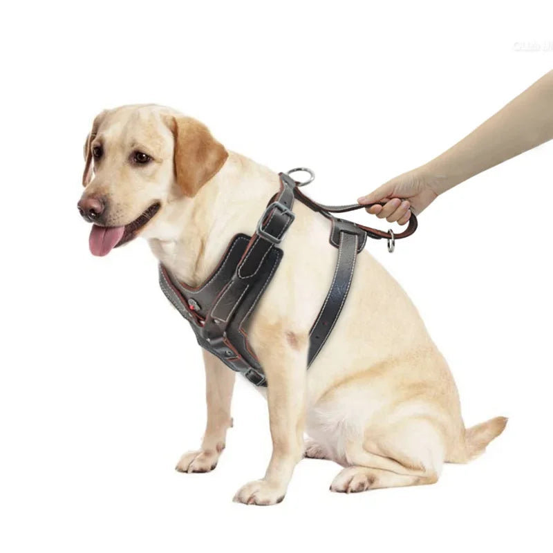 Durable Dog Harness Large Dogs Genuine Leather Harnesses Pet Training Vest With Quick Control Handle For Labrador Pitbull Oasis Select