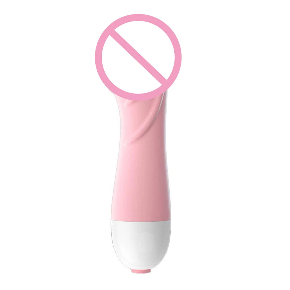 Mini Bullet Vibrator – 10-Speed Personal Massager for Women Personal Massager Oasis Select Pink