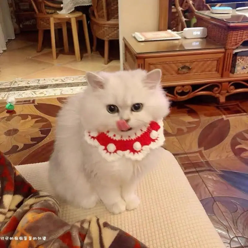 Cat Scarf Dog Bib Snow White Knitted Pet Accessories Collar Wool Collar Flower Bow Tie Dog Saliva Towel Oasis Select