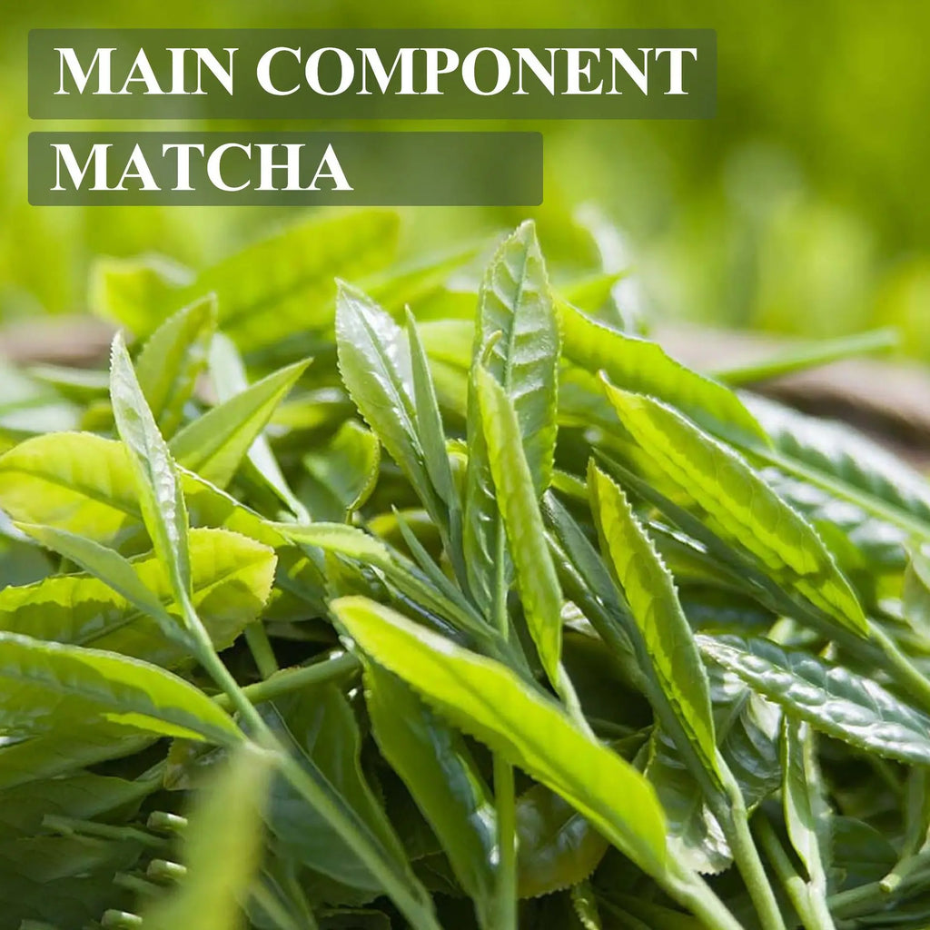Lanemay Matcha Toner – Hydrating & Pore-Minimizing | 100ml Facial Toner Oasis Select