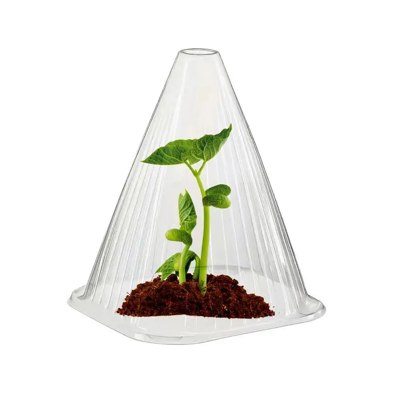 Garden Cloches Transparent Reusable Plant Protector Plant Protective Cover Versatile Bell Jar Cloches Protection Against Birds Oasis Select