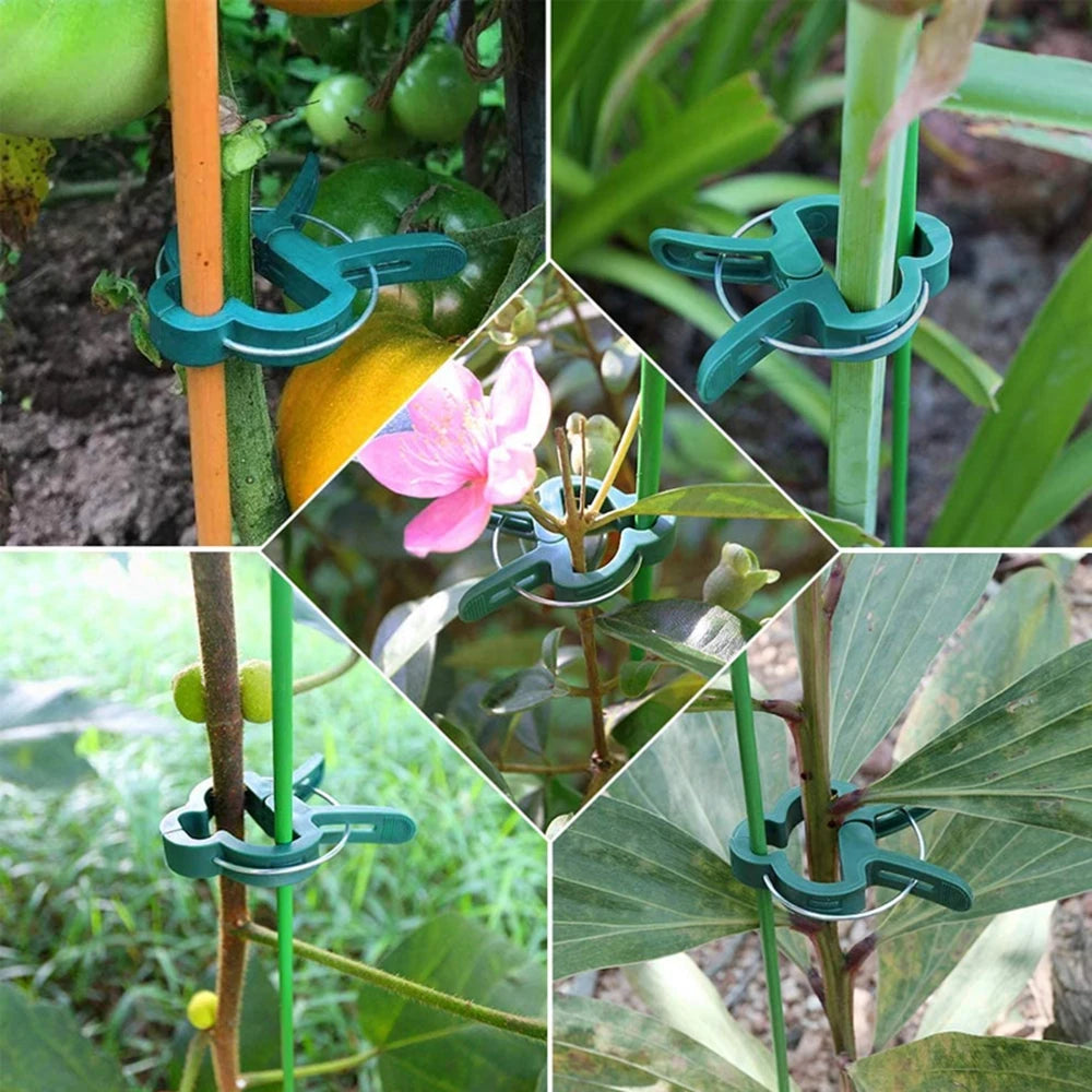 Bundle Plastic Branch Clamping Stakes Connector Vine Support Planting Support Clips Garden Tool Farm Supplies Plant Fixed Clamp Oasis Select