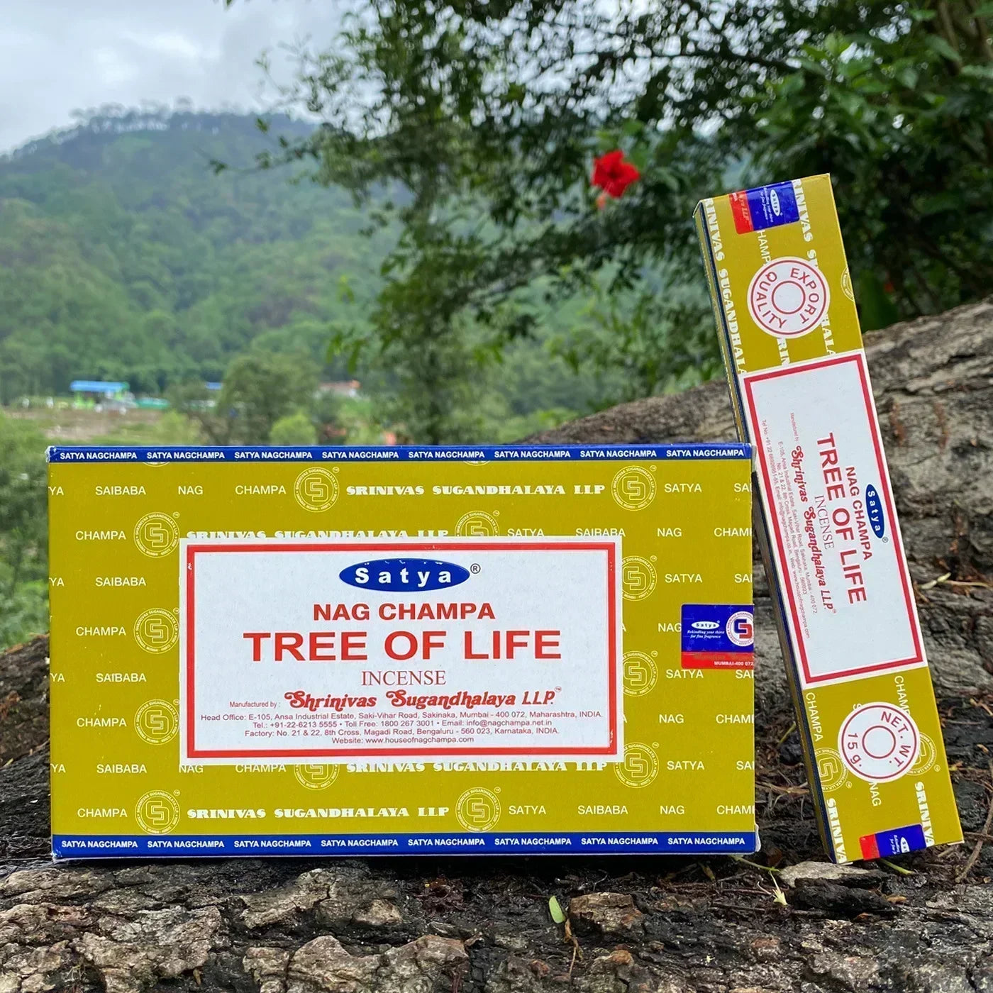 Incense Sticks Complete Boxes Satya NAGCHAMPA Original, Palo Santo DRAGONS BLOOD SANDALWOOD Natural Incenso(Handmade in India) Oasis Select TREE OF LIFE 12 small boxex