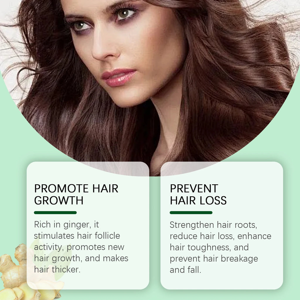 Ginger Anti Loss Shampoo Hair Strengthen Restore Damaged Oil Control Cleansing Dandruff Moisturizing Smooth Hair Growth Shampoo Oasis Select