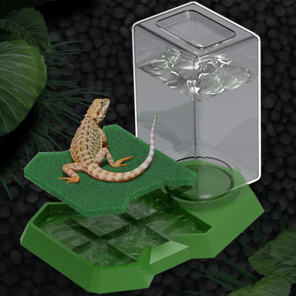 Reptile Water Dispenser Reptile Water Dish Bowl Anti-slip Large Capacity Turtle Feeders Waterer For Snake Terrarium Tank Oasis Select