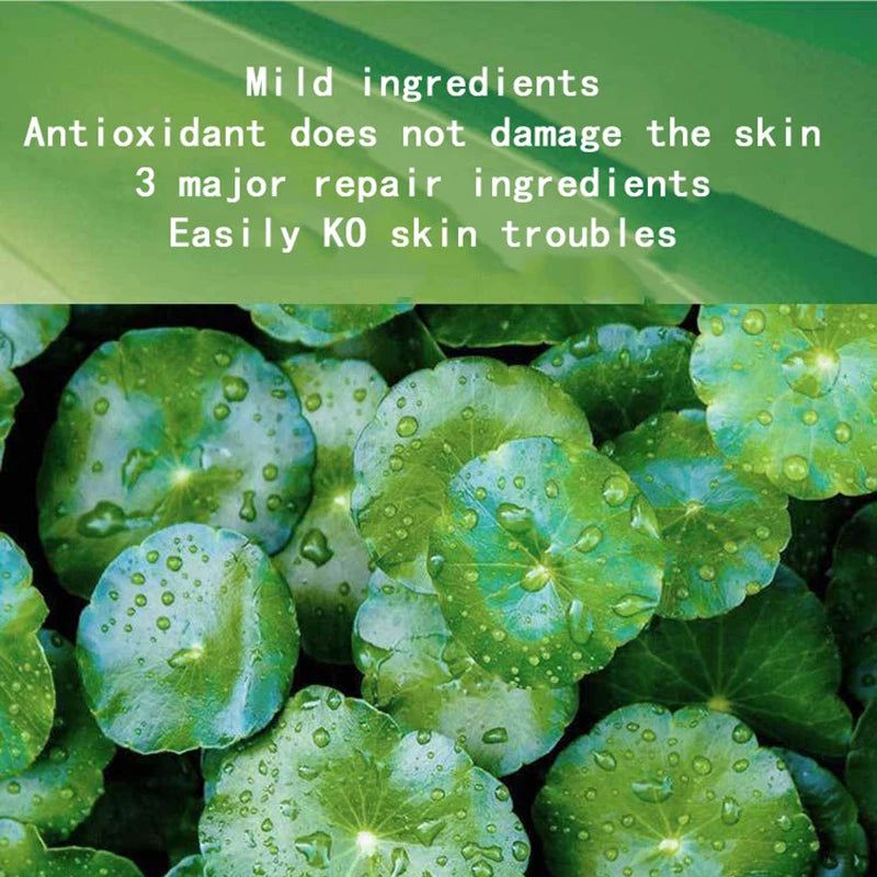 30-Pack Centella Collagen Sleeping Face Mask – Anti-Aging Sleeping Face Mask Oasis Select